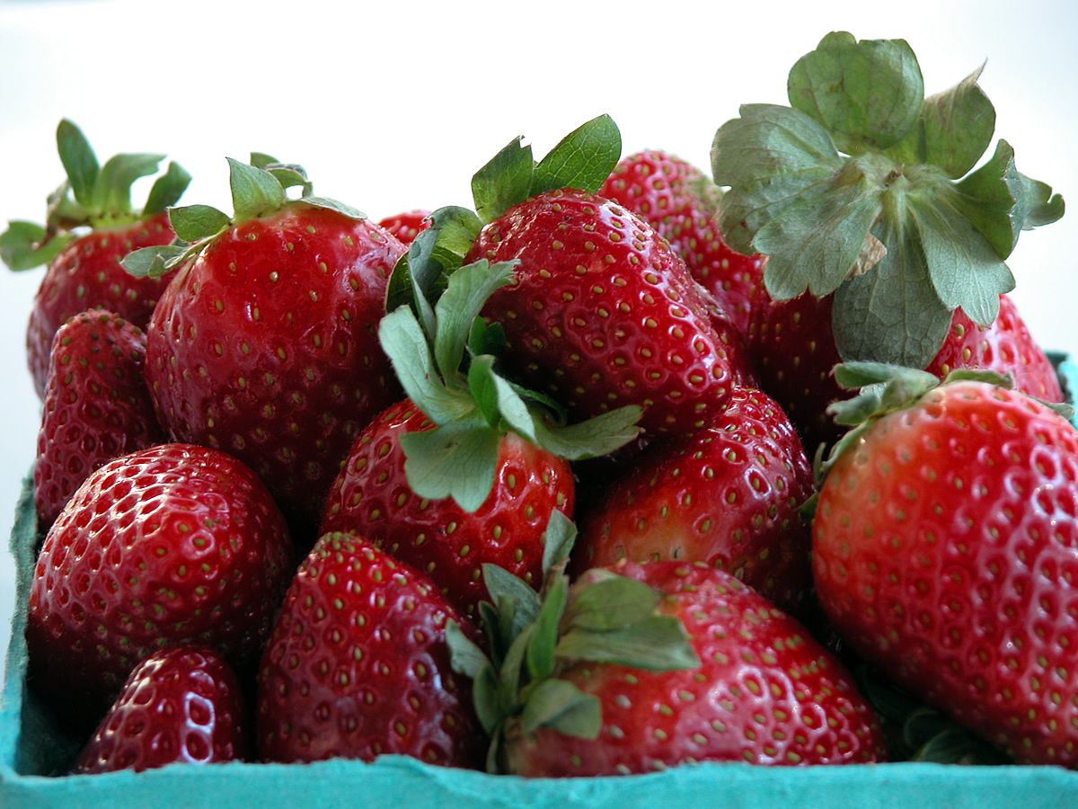 Strawberries for Strawberry Pie